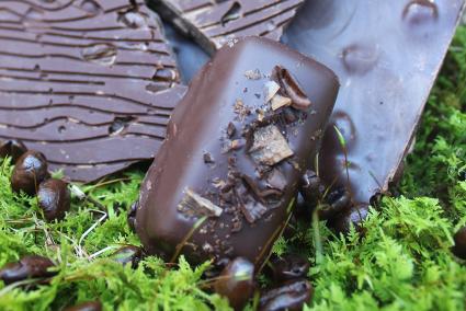 image of dark chocolates sitting on a bed of green trim