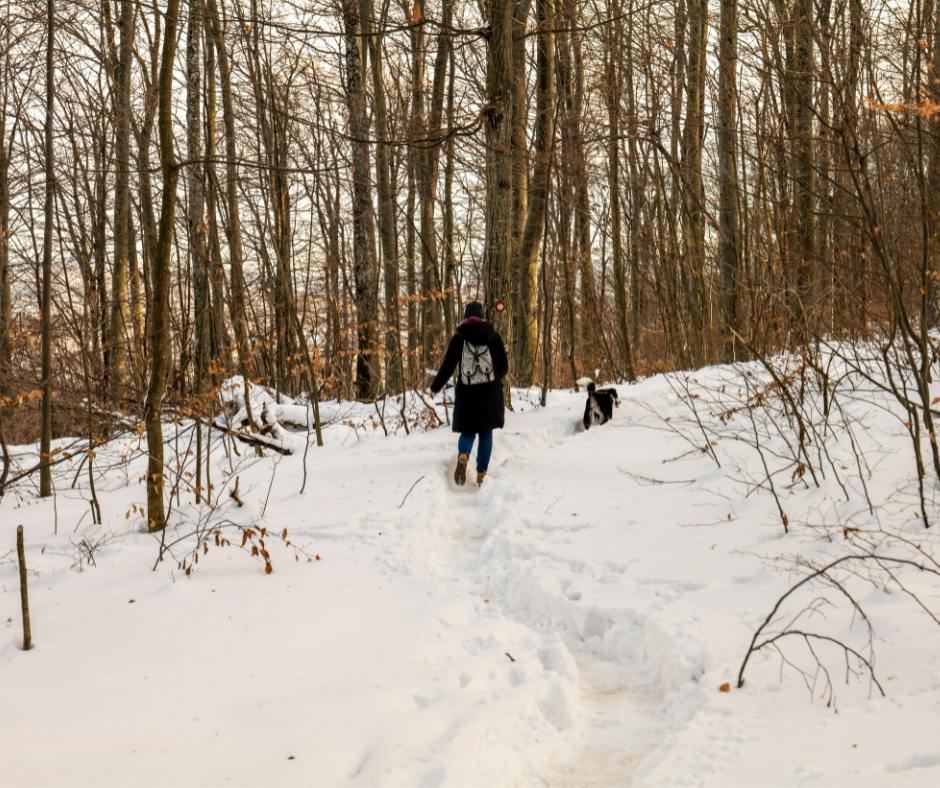 person and dog hiking through snowy woods