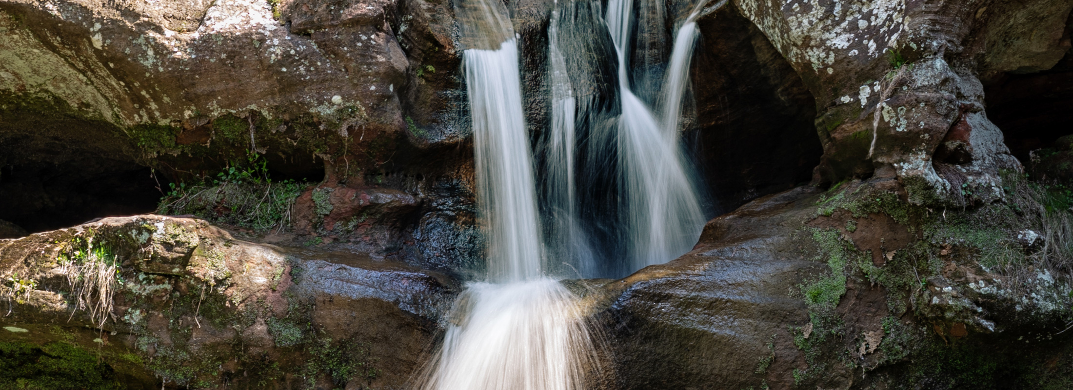 image of Explore the Area