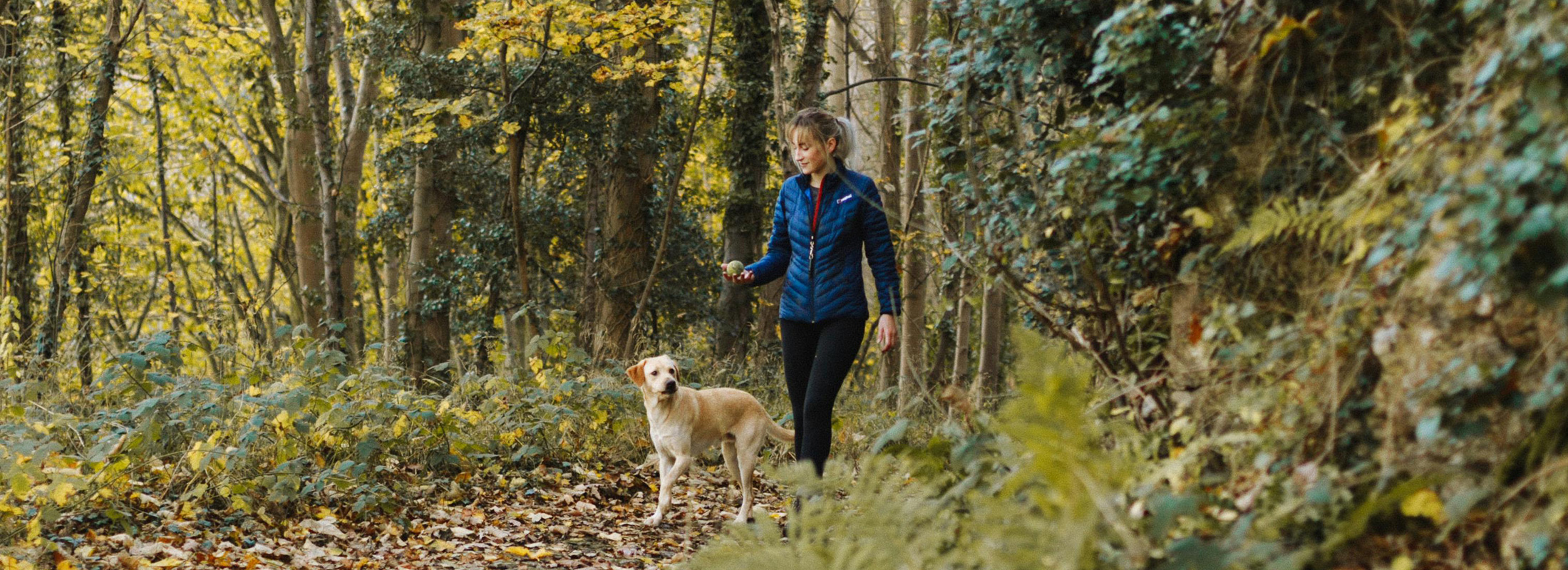 image of Pet Friendly Cabins