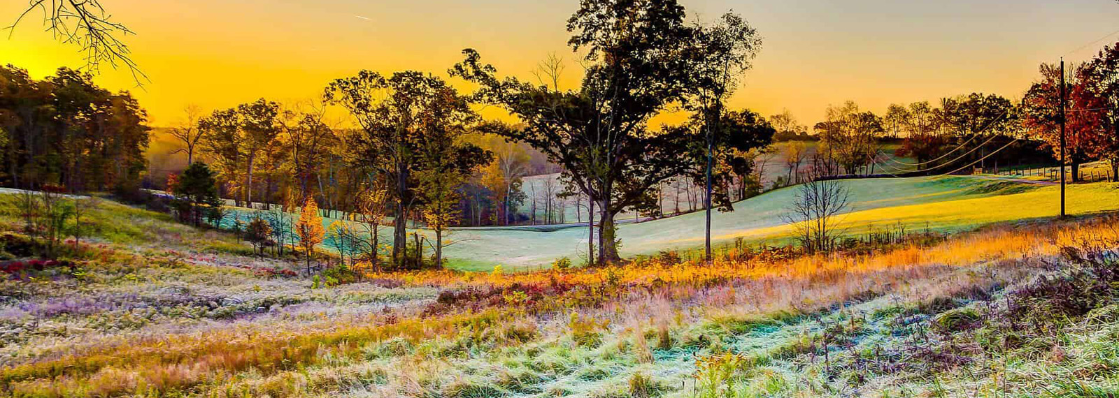 image of Privacy Policy